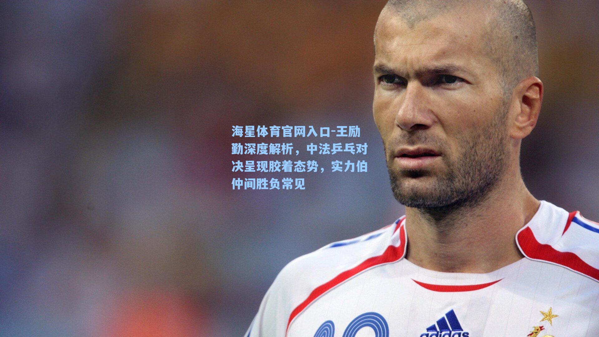 王励勤深度解析，中法乒乓对决呈现胶着态势，实力伯仲间胜负常见